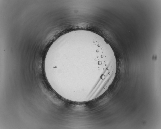 X0000111920548200908241054