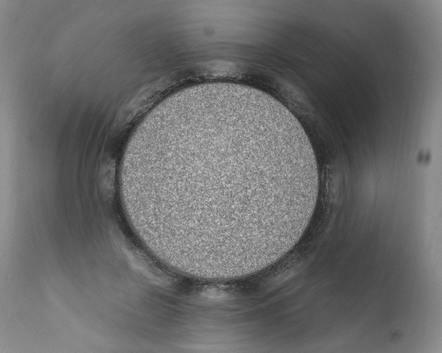 X0000111920550200908241054