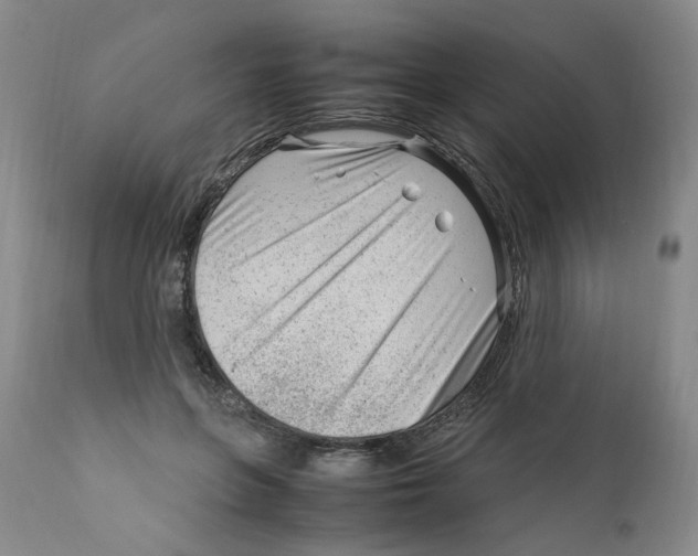 X0000111920551200908241054