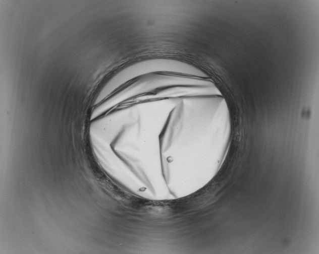 X0000111920552200908241054