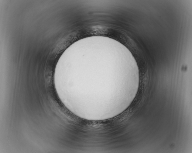 X0000111920553200908241054