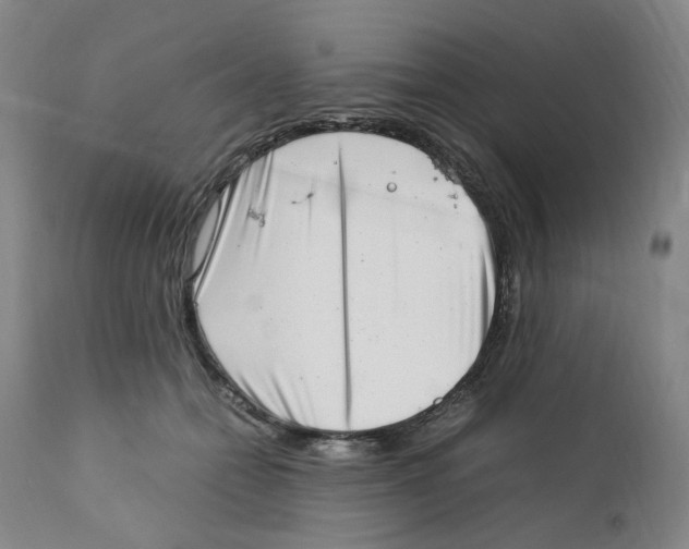 X0000111920558200908241054