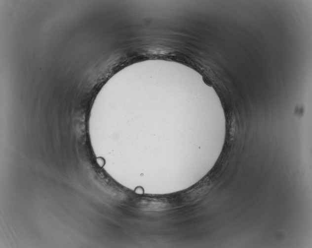 X0000111920559200908241054