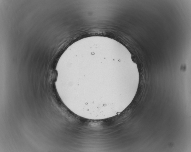 X0000111920560200908241054