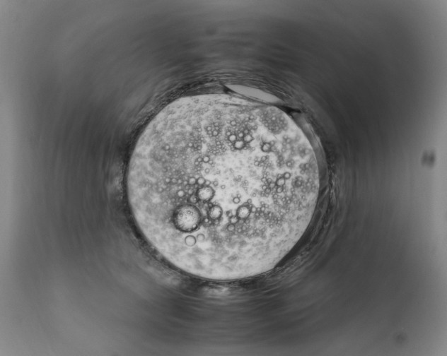 X0000111920561200908241054