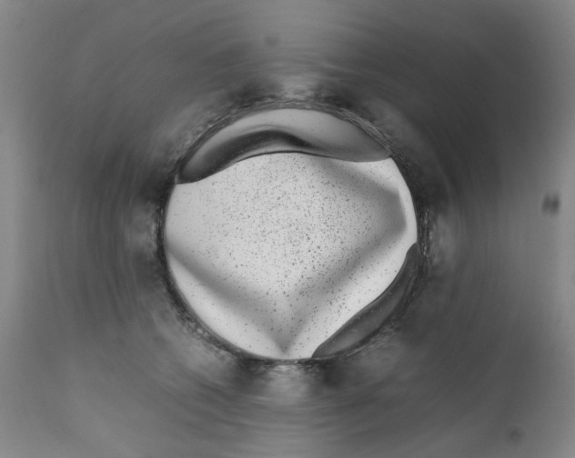 X0000111920562200908241054