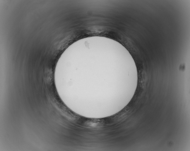 X0000111920563200908241054