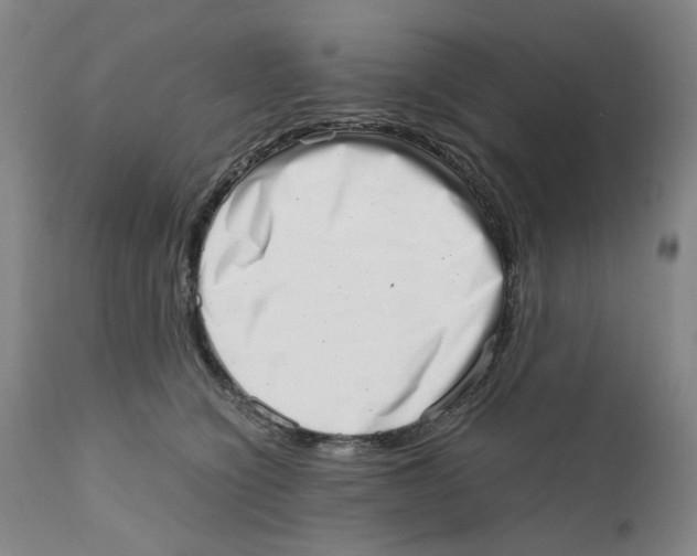 X0000111920564200908241054