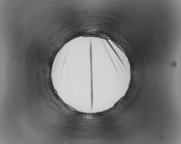 X0000111920565200908241054