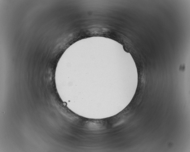 X0000111920567200908241054