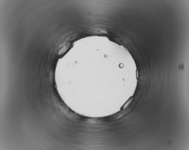 X0000111920568200908241054