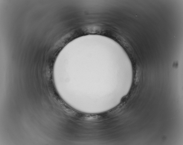 X0000111920569200908241054