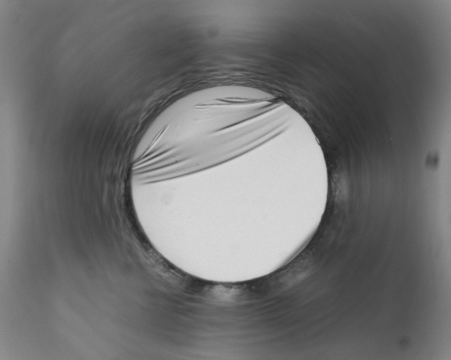 X0000111920570200908241054