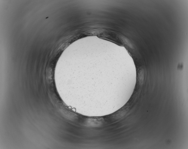 X0000111920571200908241054