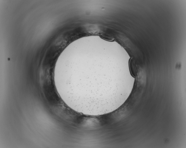 X0000111920572200908241054