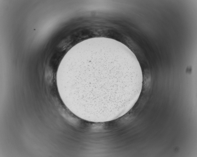 X0000111920574200908241054