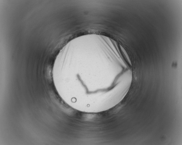 X0000111920575200908241054