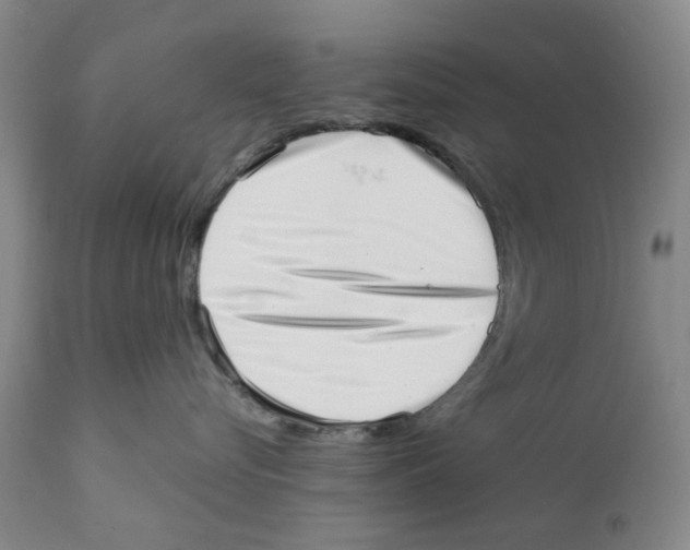 X0000111920576200908241054