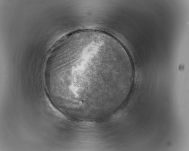 X0000111920577200908241053