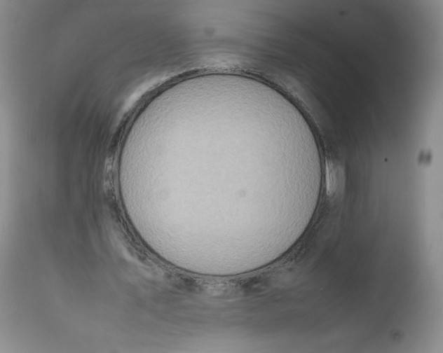 X0000111920579200908241053