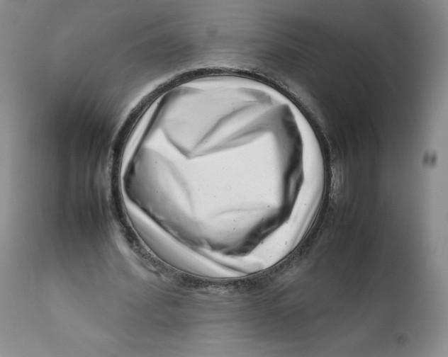 X0000111920580200908241053