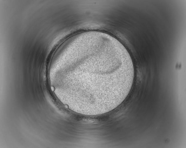 X0000111920582200908241053