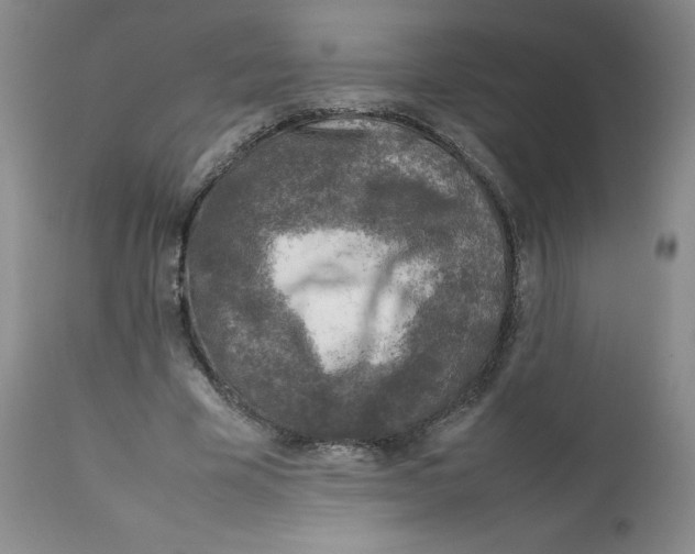 X0000111920585200908241053