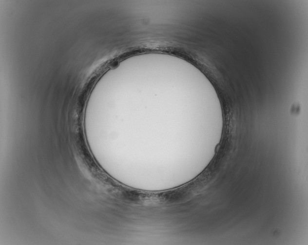 X0000111920587200908241053