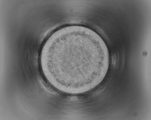 X0000111920588200908241053