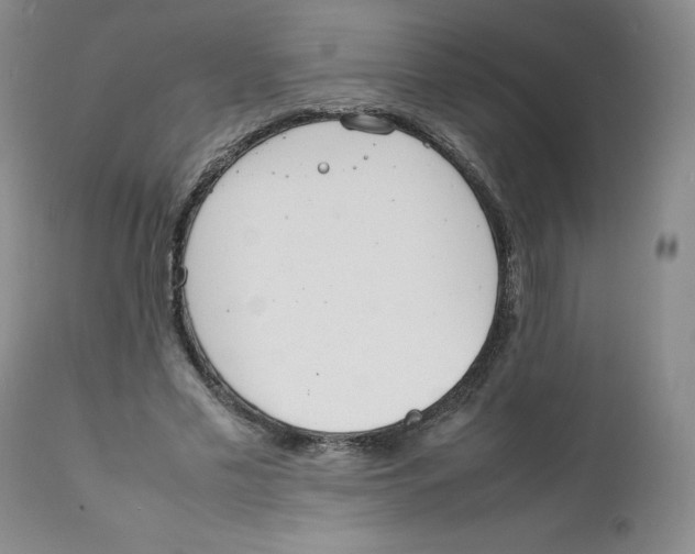 X0000111920589200908241053