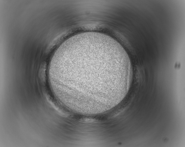 X0000111920590200908241053