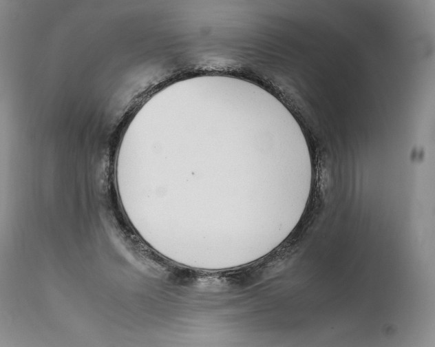 X0000111920591200908241053