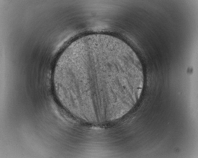 X0000111920592200908241053