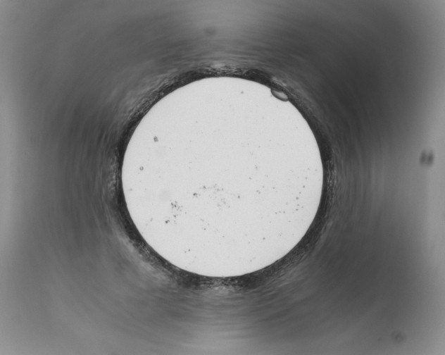 X0000111920593200908241053