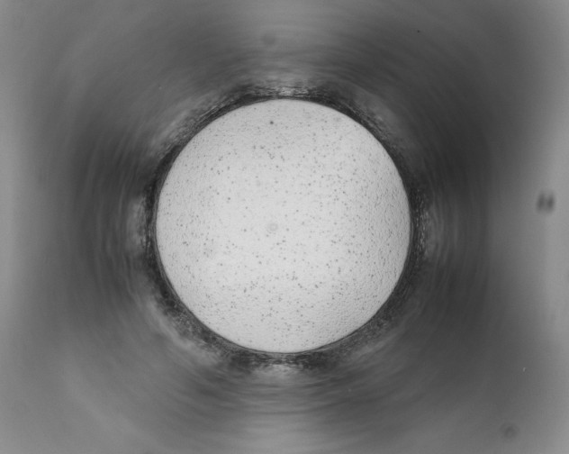 X0000111920594200908241053