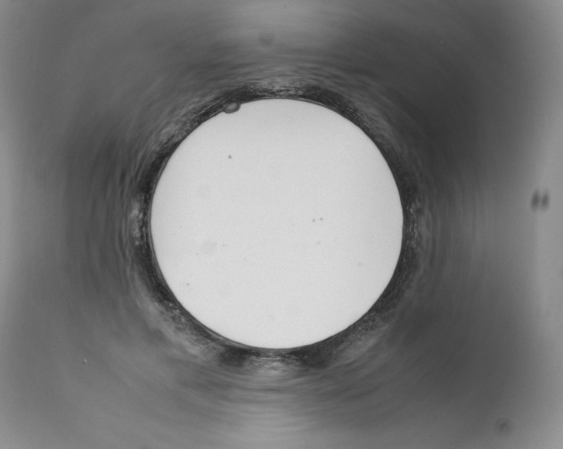 X0000111920597200908241053