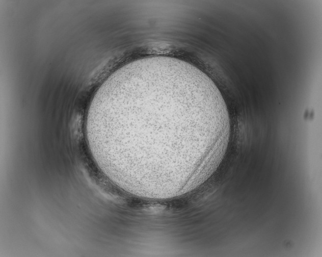 X0000111920598200908241053