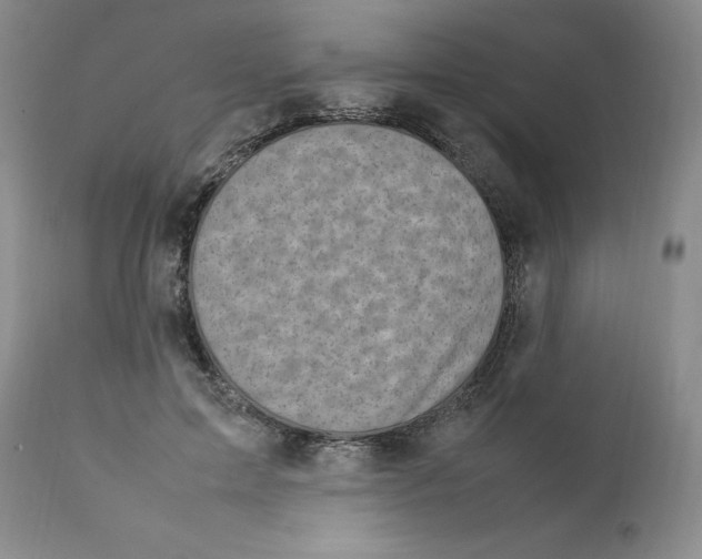 X0000111920599200908241053