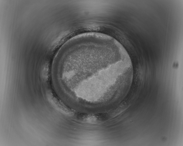 X0000111920600200908241053