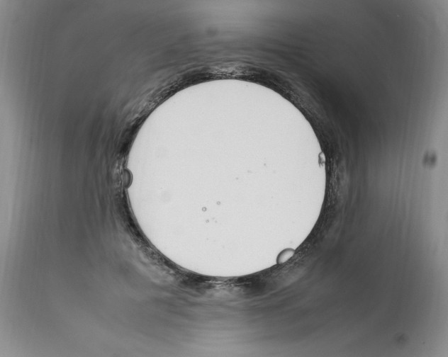 X0000111920601200908241053