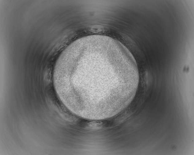 X0000111920606200908241053