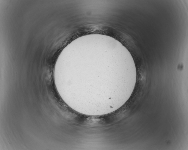 X0000111920607200908241053