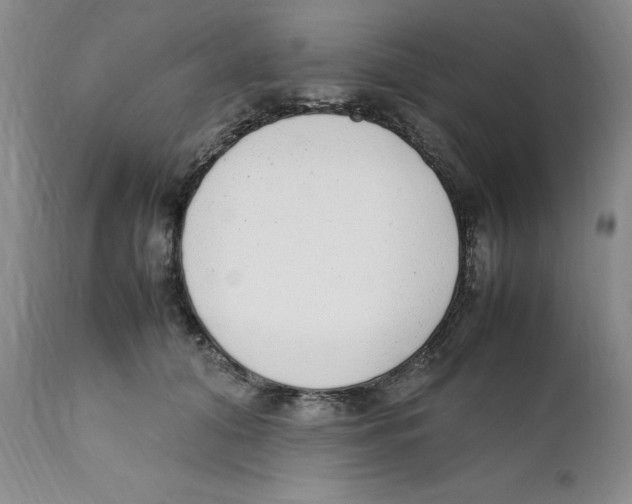 X0000111920608200908241053