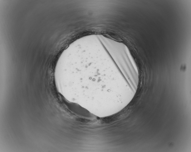 X0000111920609200908241053