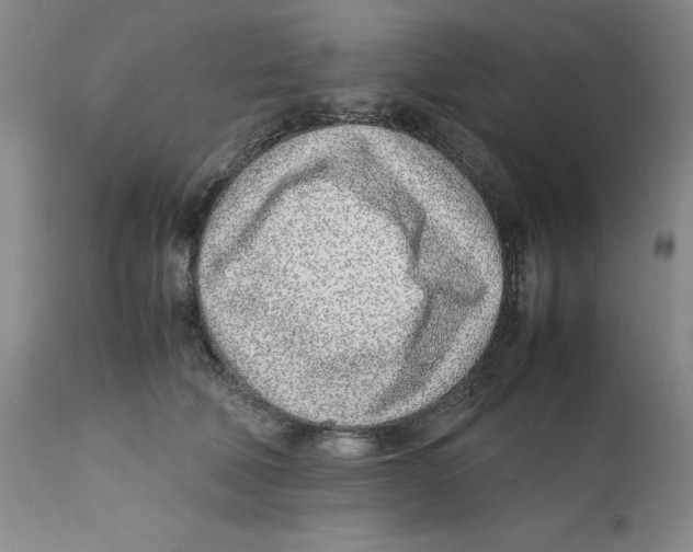 X0000111920610200908241053