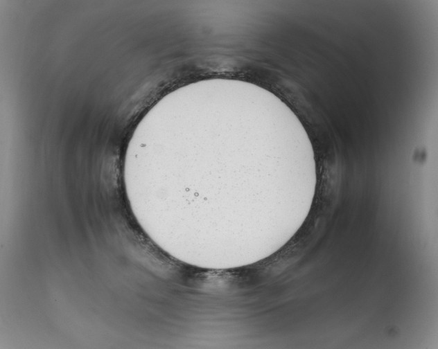 X0000111920612200908241053