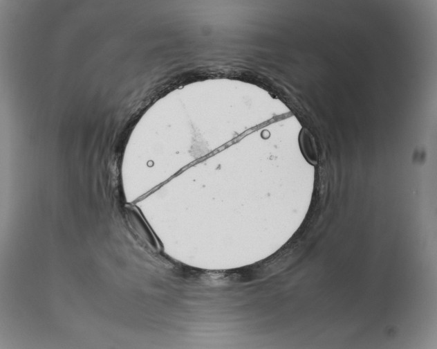 X0000111920613200908241053