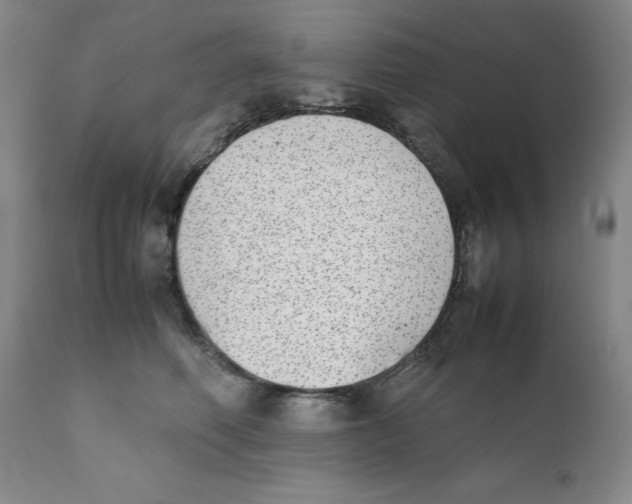 X0000111920614200908241053