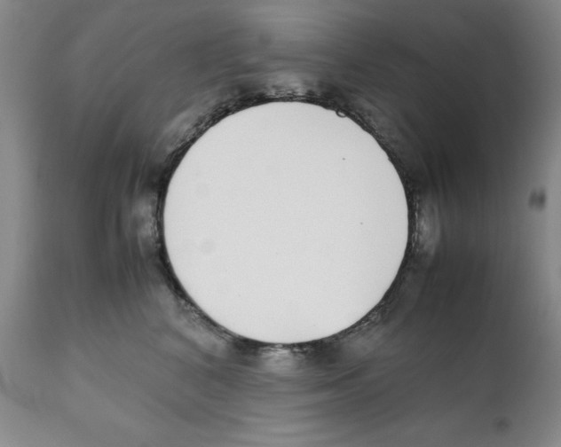 X0000111920616200908241053