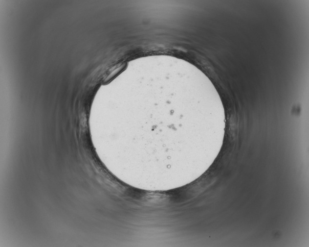 X0000111920617200908241053